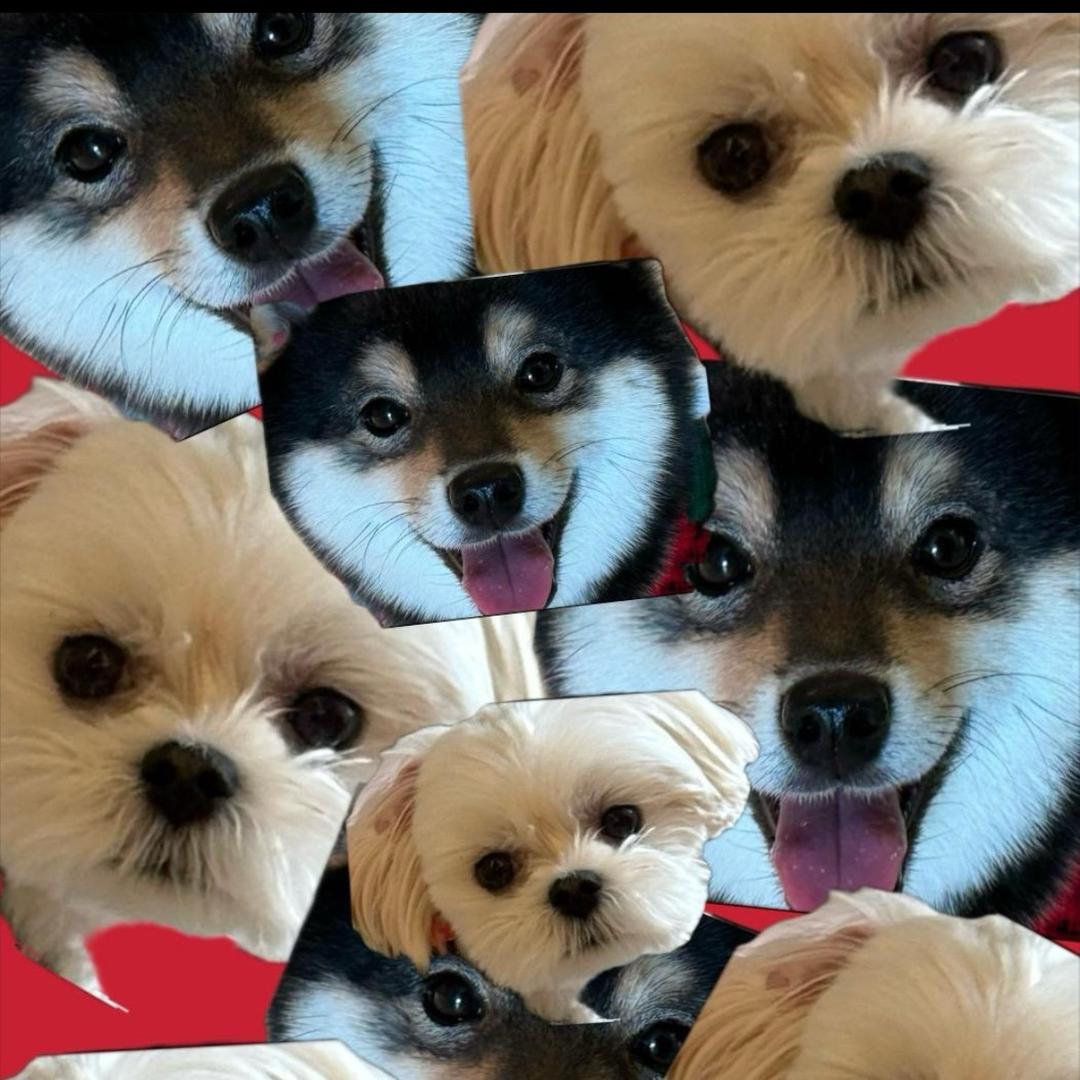 小痱子
