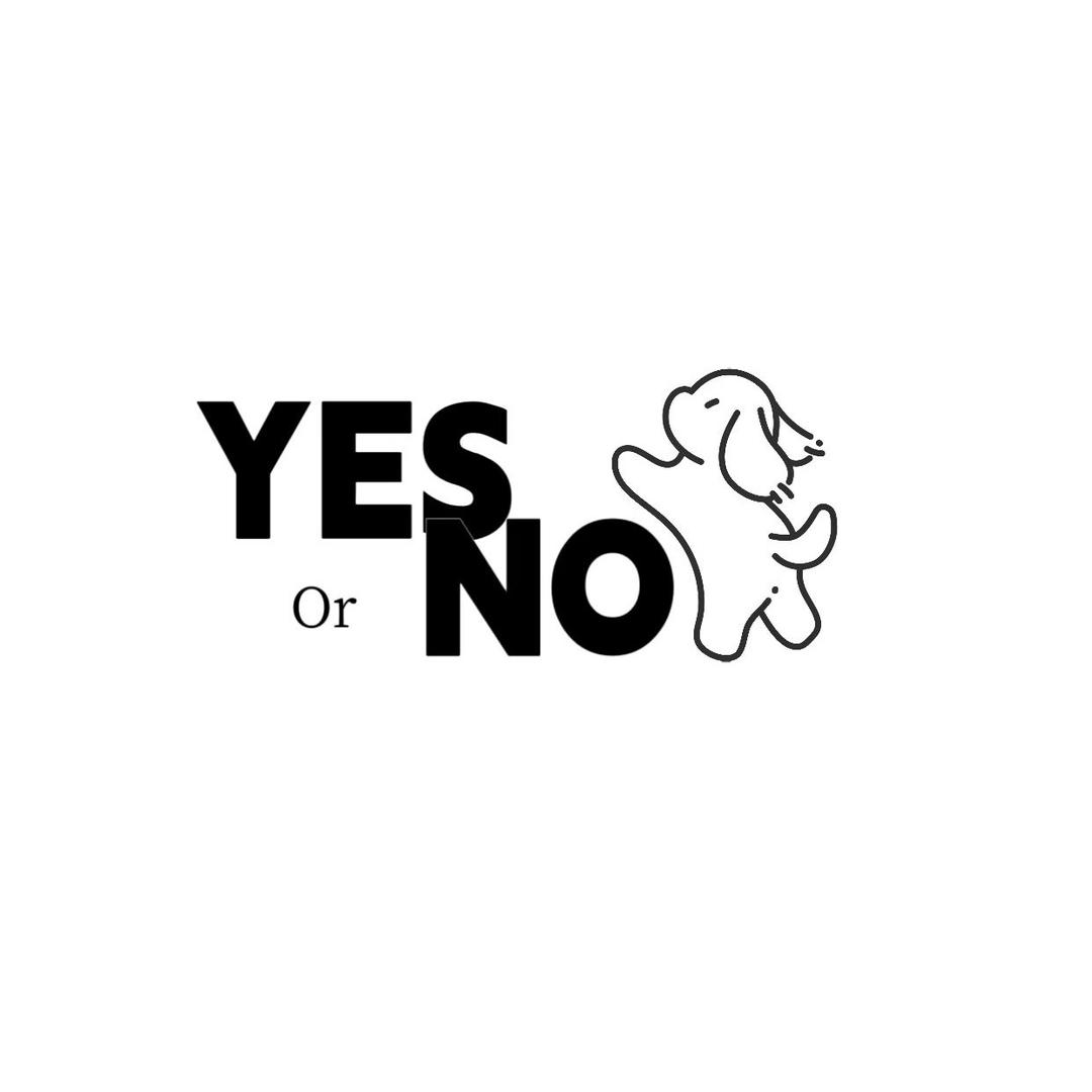 YES OR NO优品女装