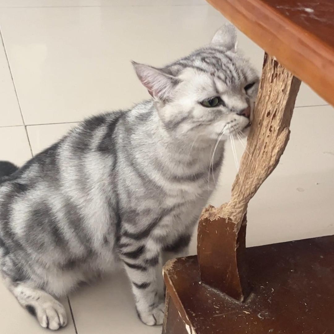 拆总