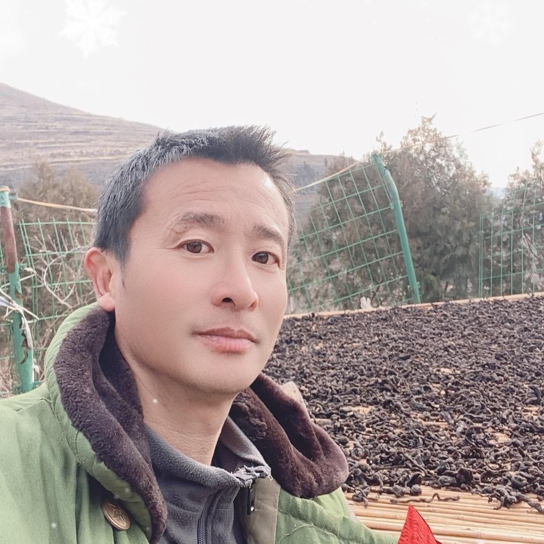 二哥黄精（3）