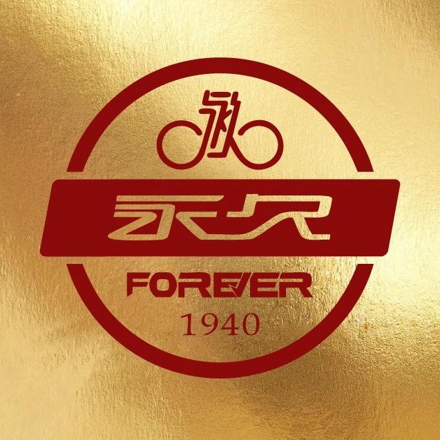 永久高端智能折叠电动车—002