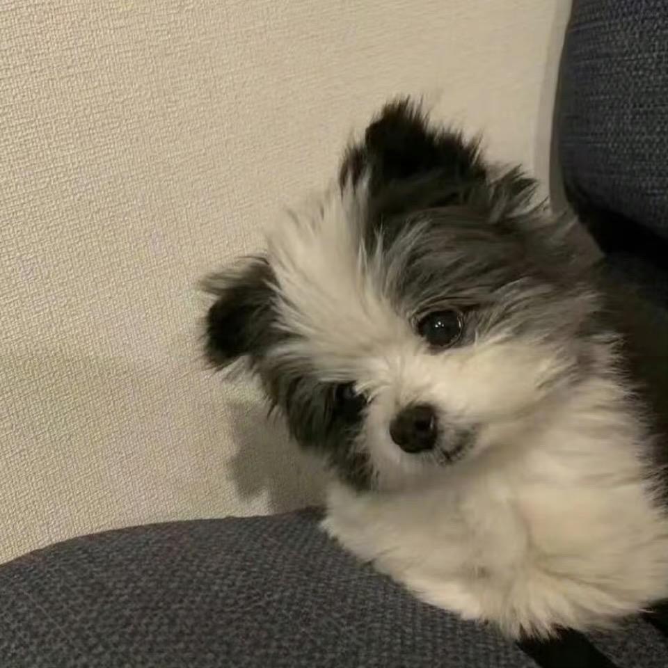 怎么又困了