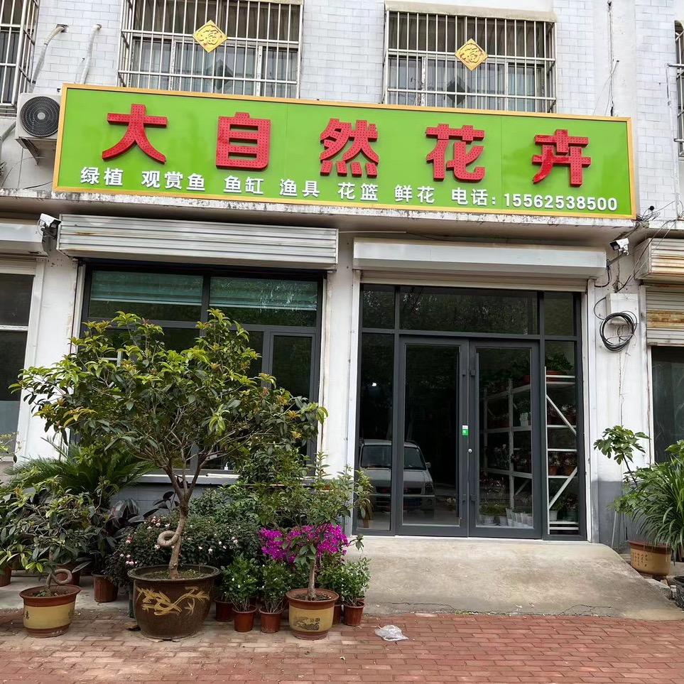 半生已过，学会沉默