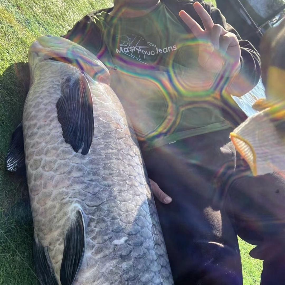 半个梦🎣