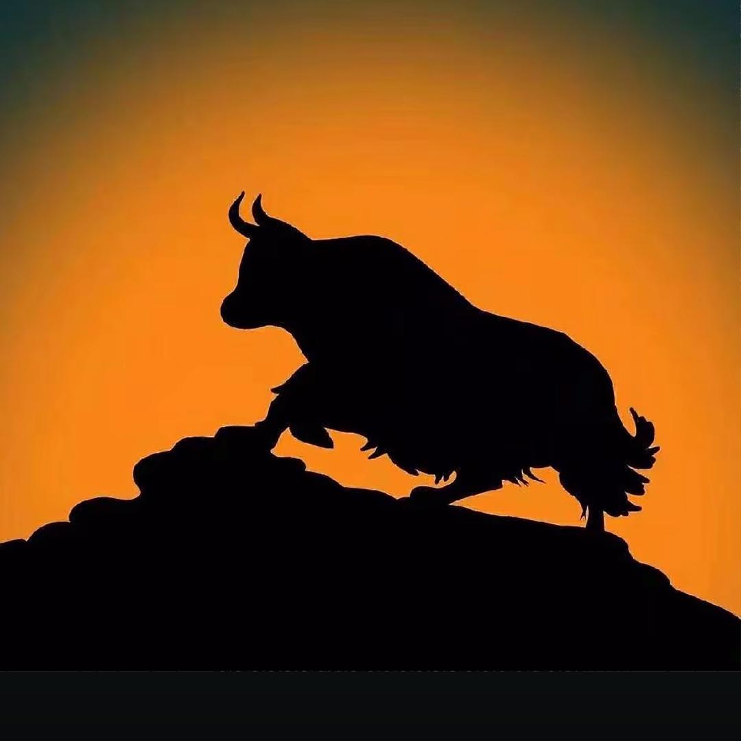 仲巴仓（电影）