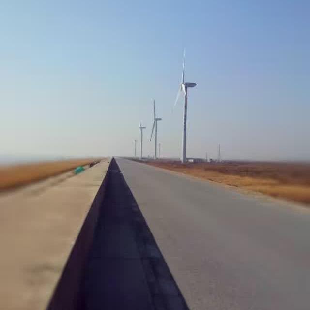阿政