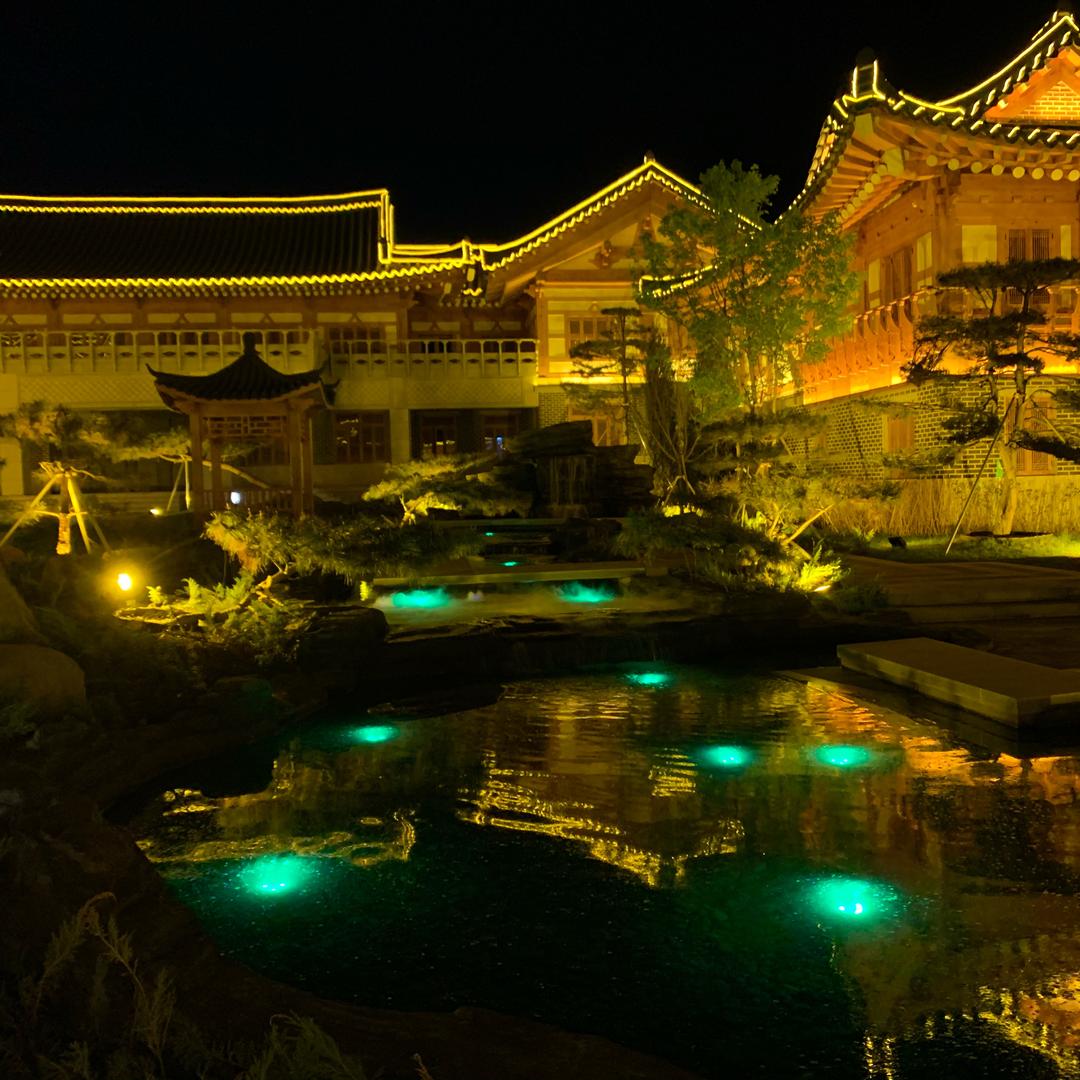 我有两个皮夹克