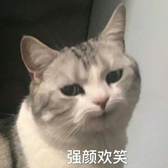 你就不要想起我