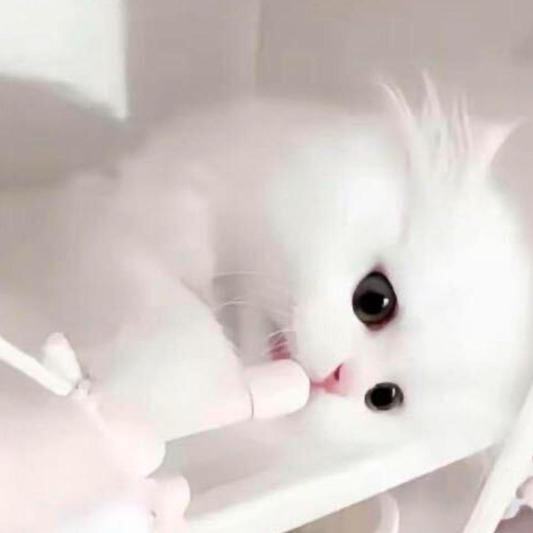 幻想