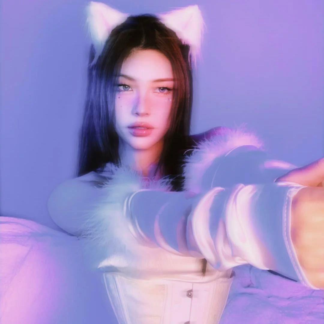 何猪蹄