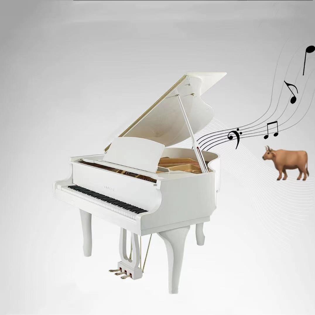 管爷(≧3≦)丫多 白羊座