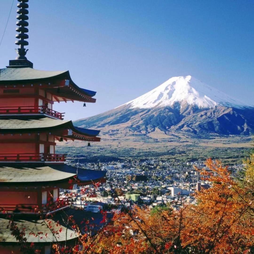 欧家本瓷器
