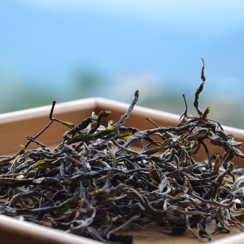 新孟古茶运营中心