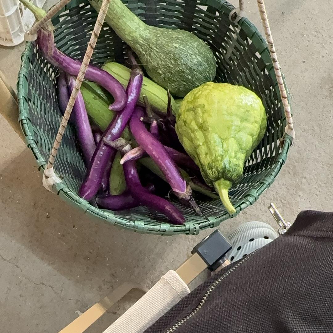 博姆精品办公椅