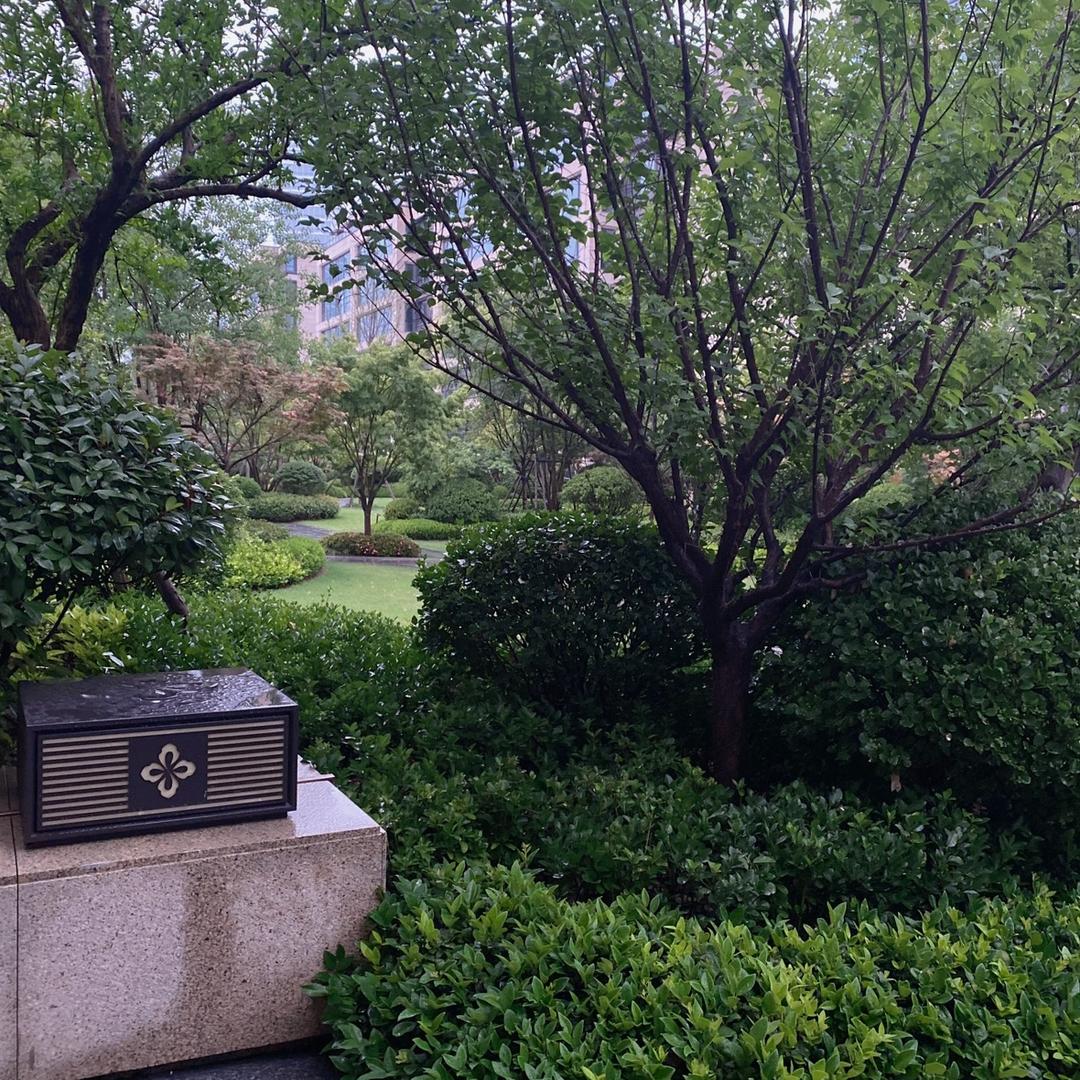 励志前行💪🏻