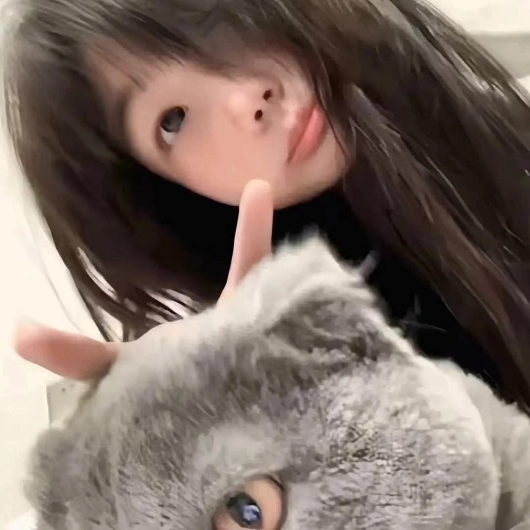 听不盹