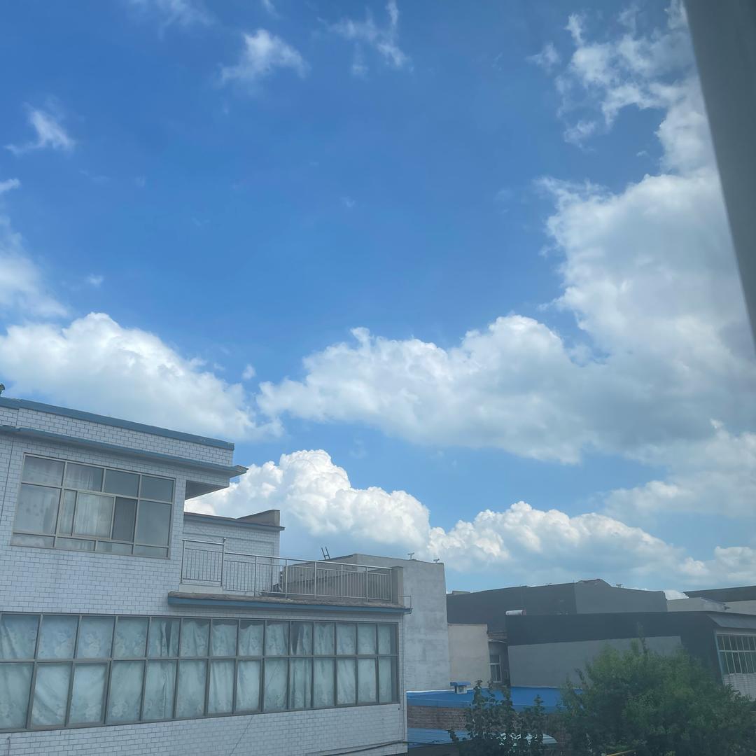 虎仔雨刮优选