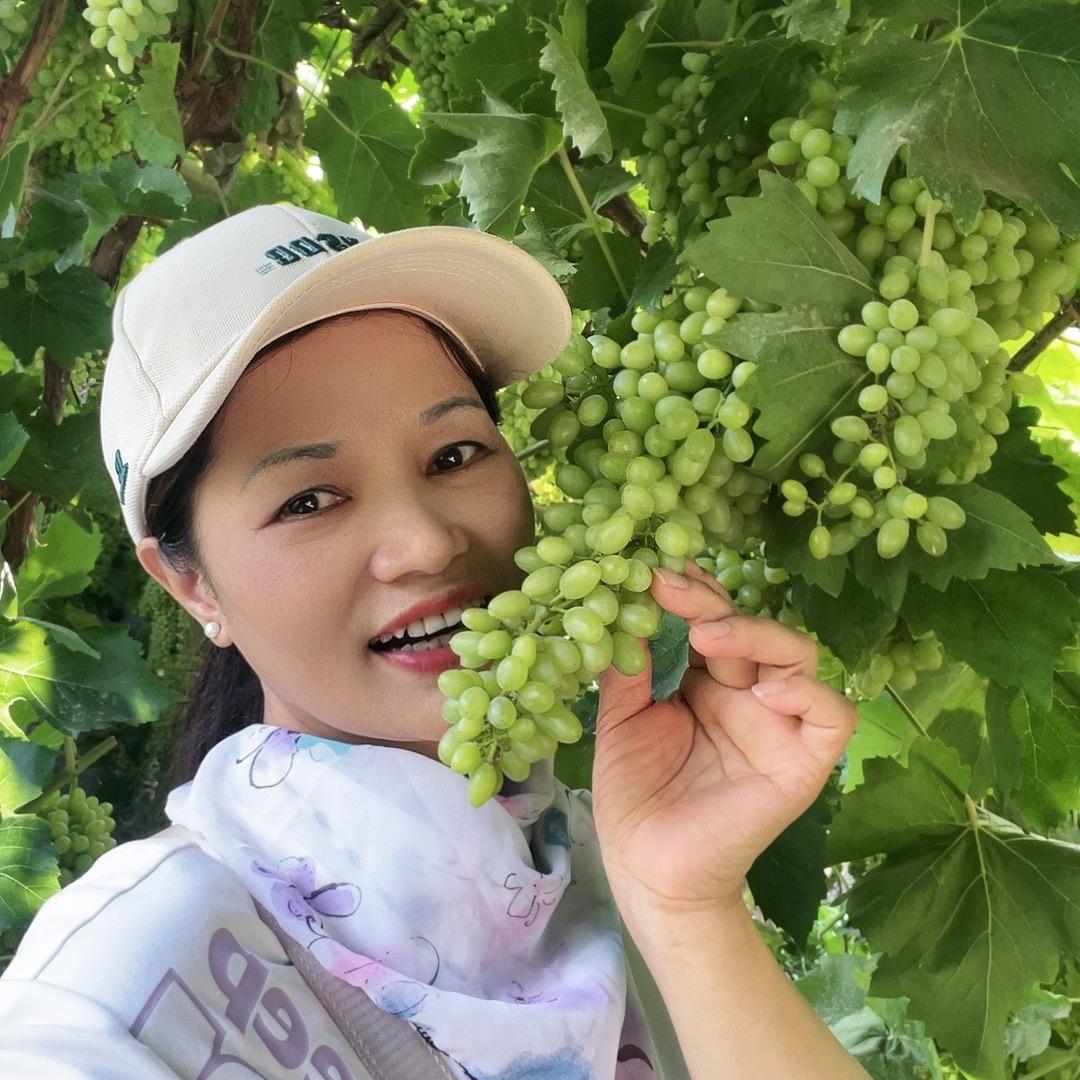 白衣天使向姐