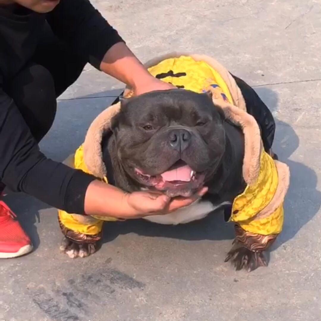 改不了的吧唧嘴