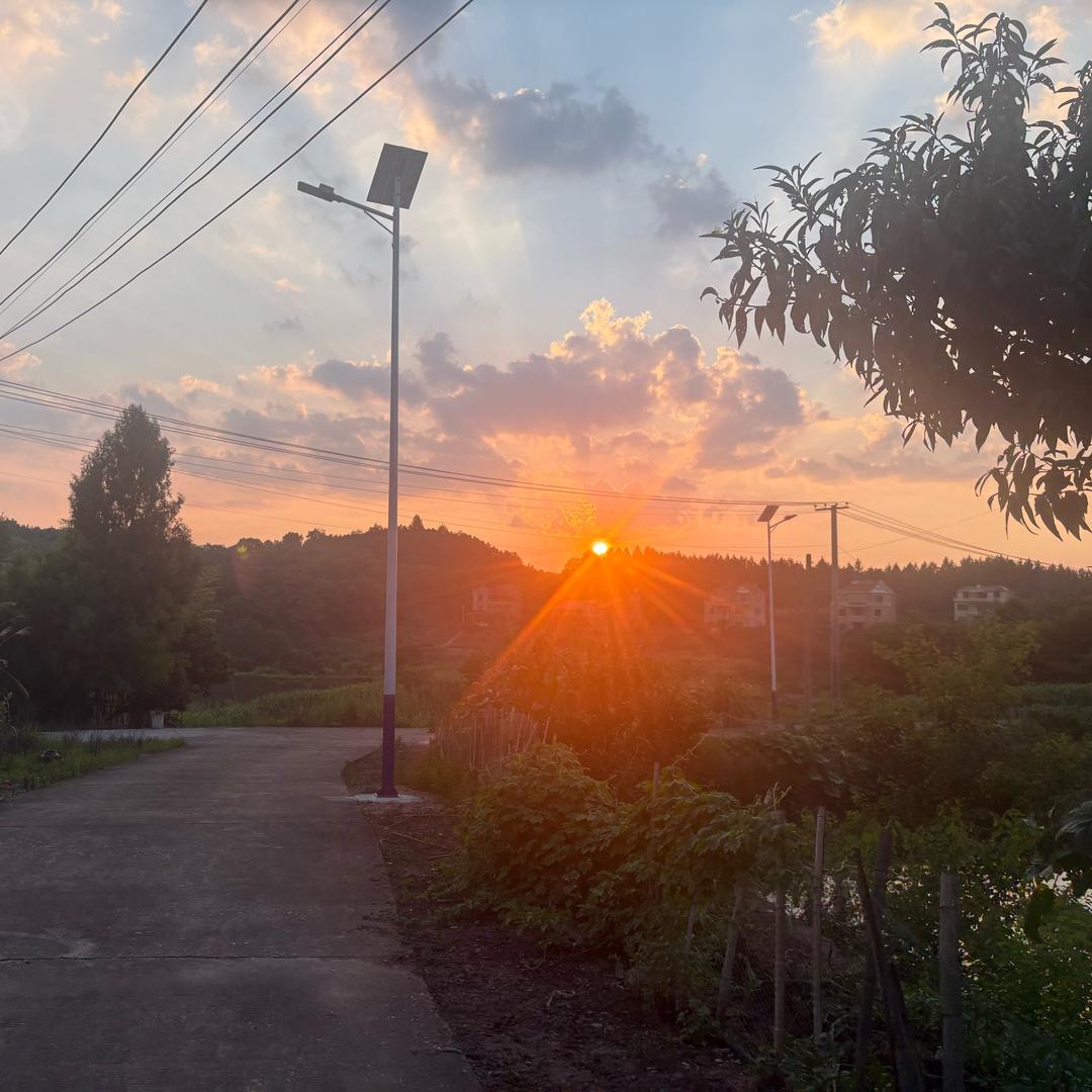 ❦: ঞ 半ᨶ႒ᩚ颗ᥫᩣ໌້ᮨ糖