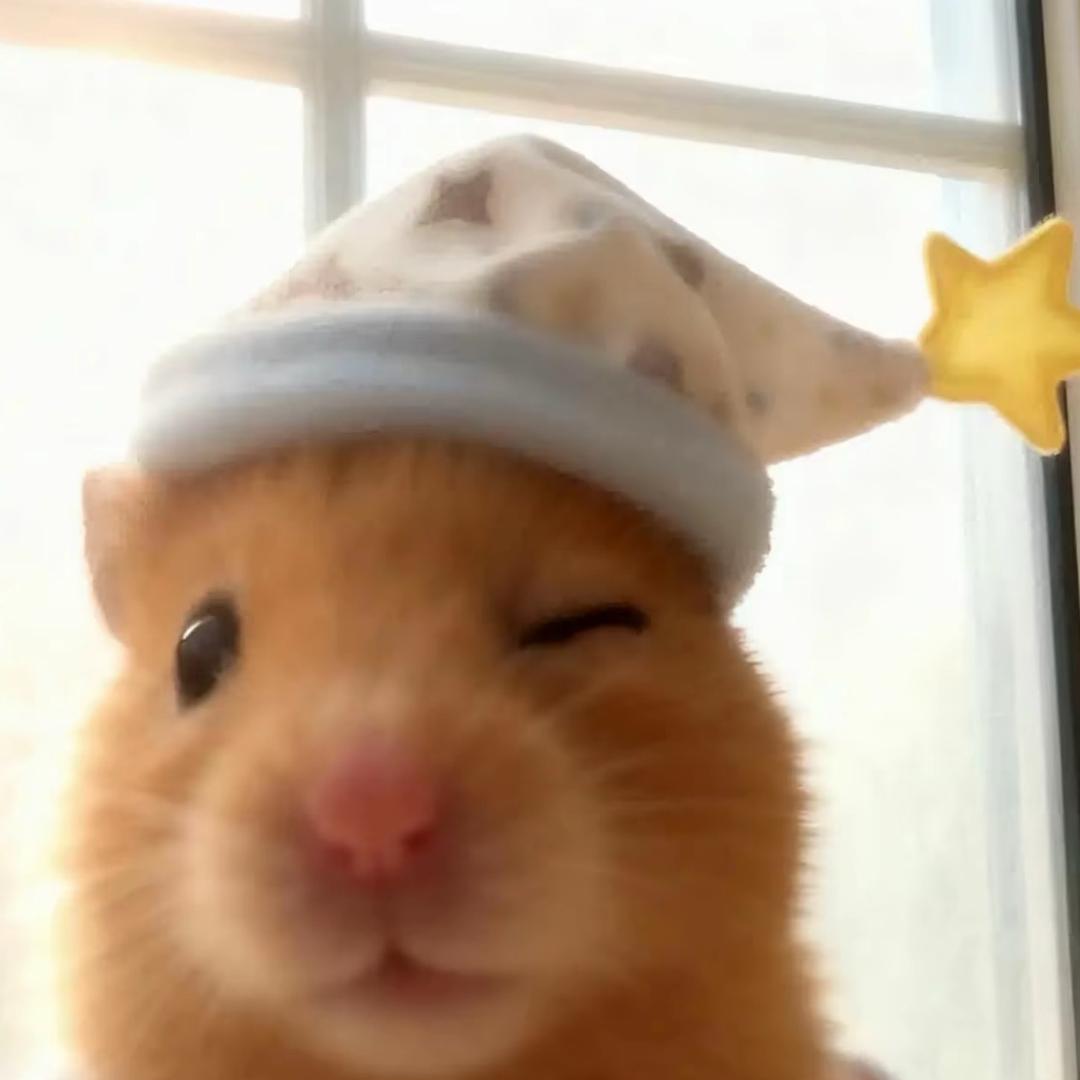 老鼠爱过街