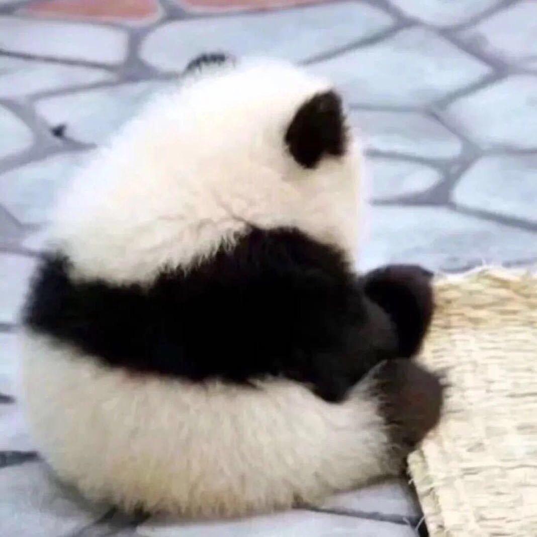 泊郡书单