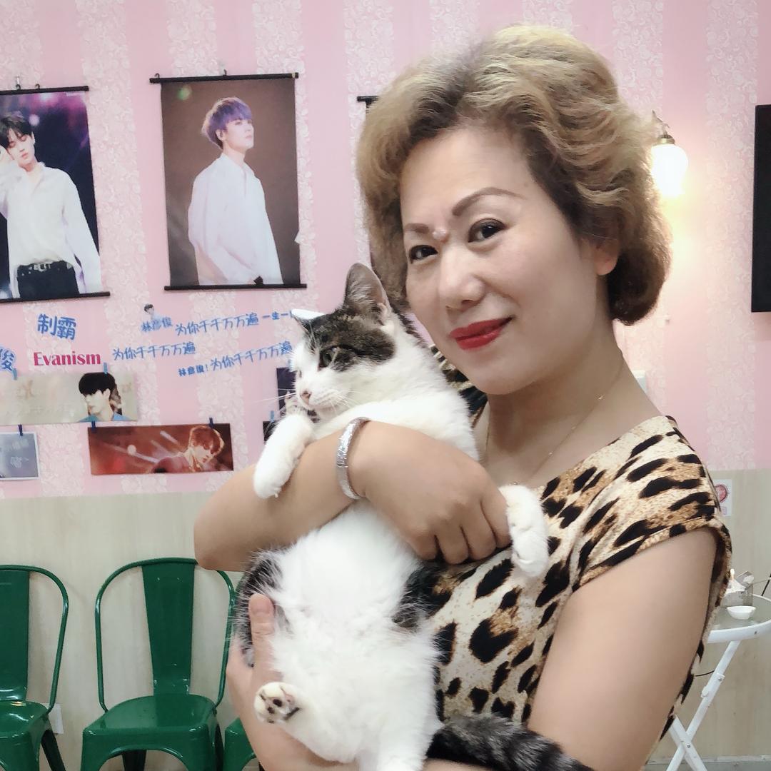 夏阿姨给猫咪找个家