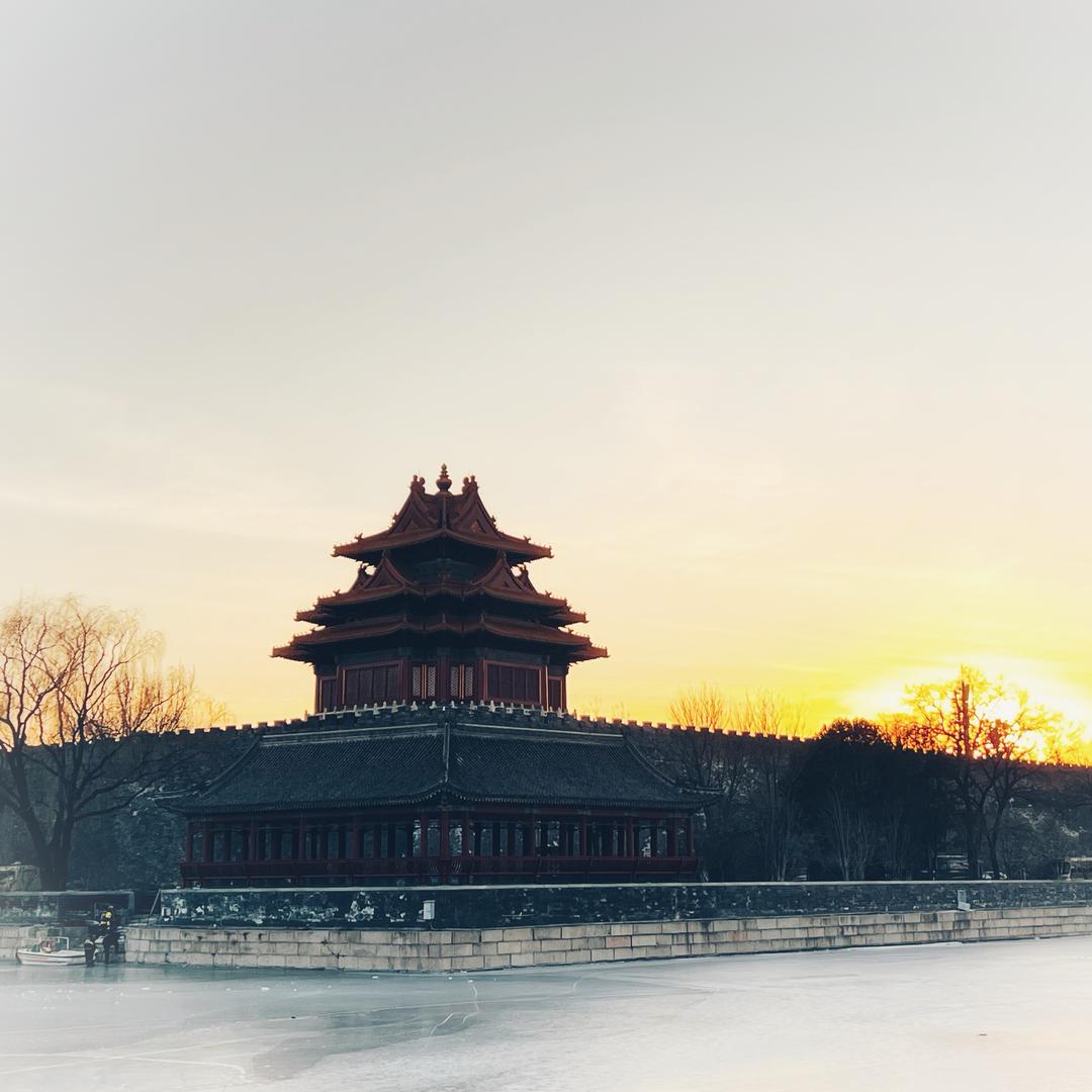 小冻梨