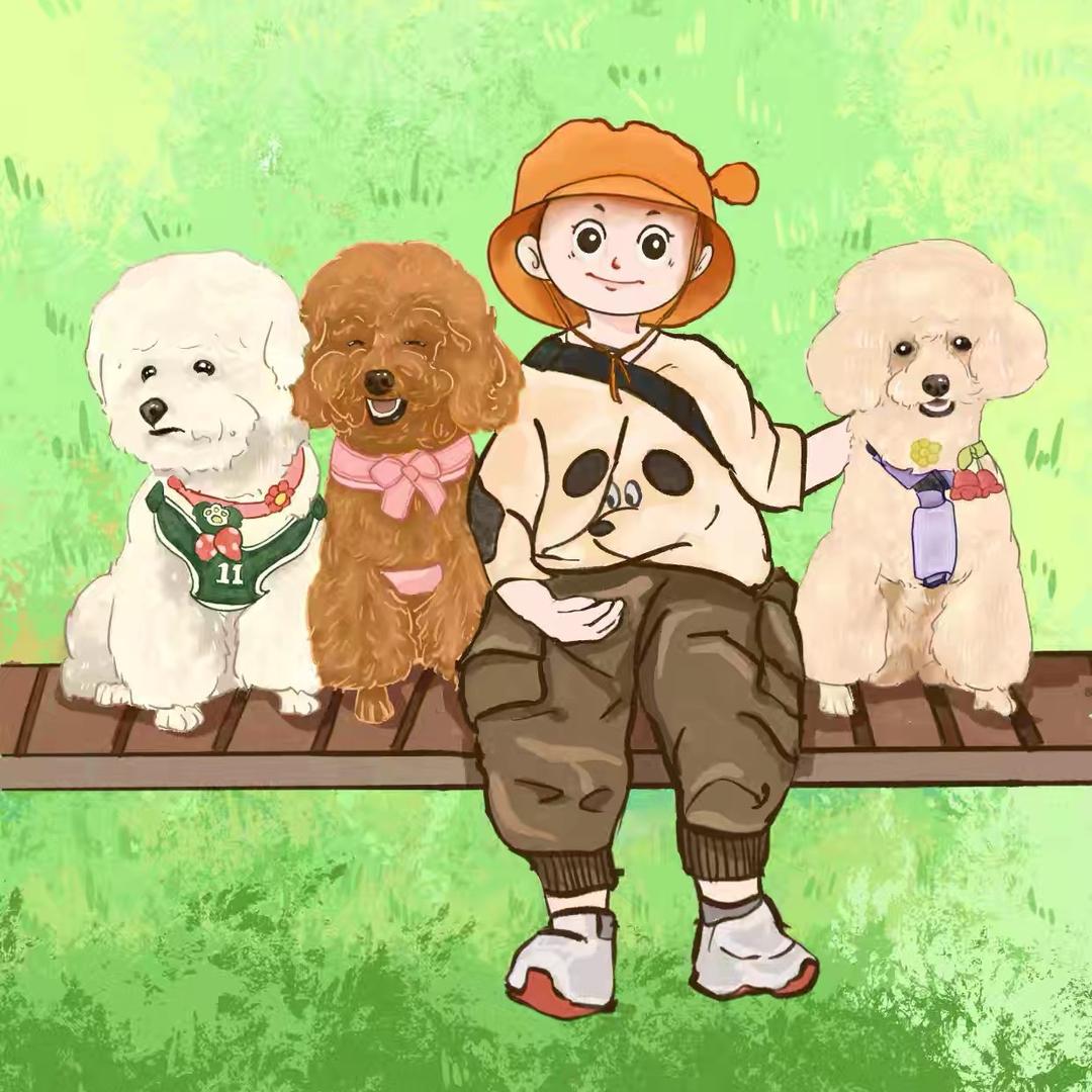 牛牛和三只小可爱