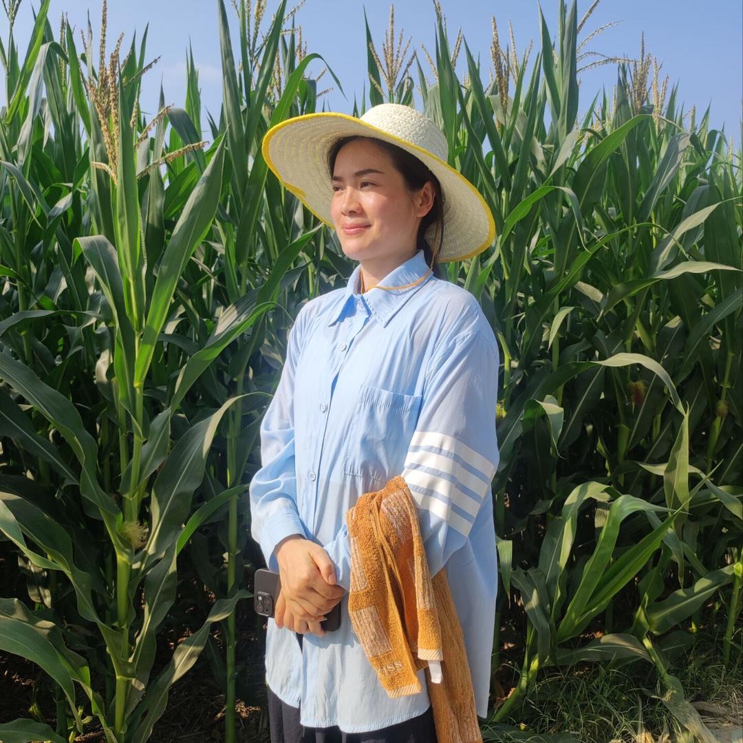 农村三妹