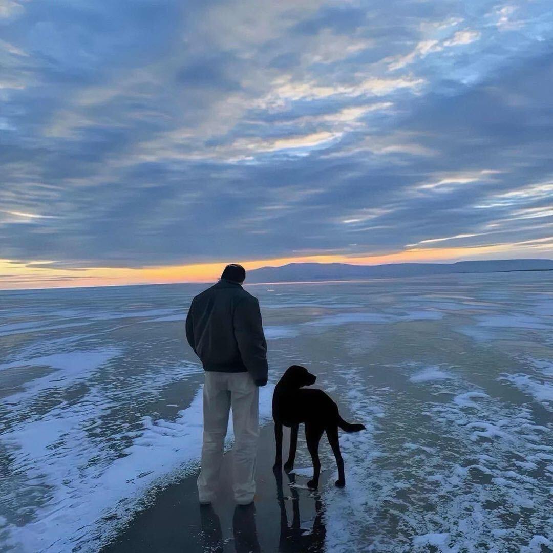 别等乌鸦说情话