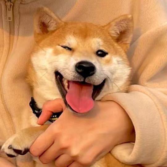 捡捡的小黄鱼😬