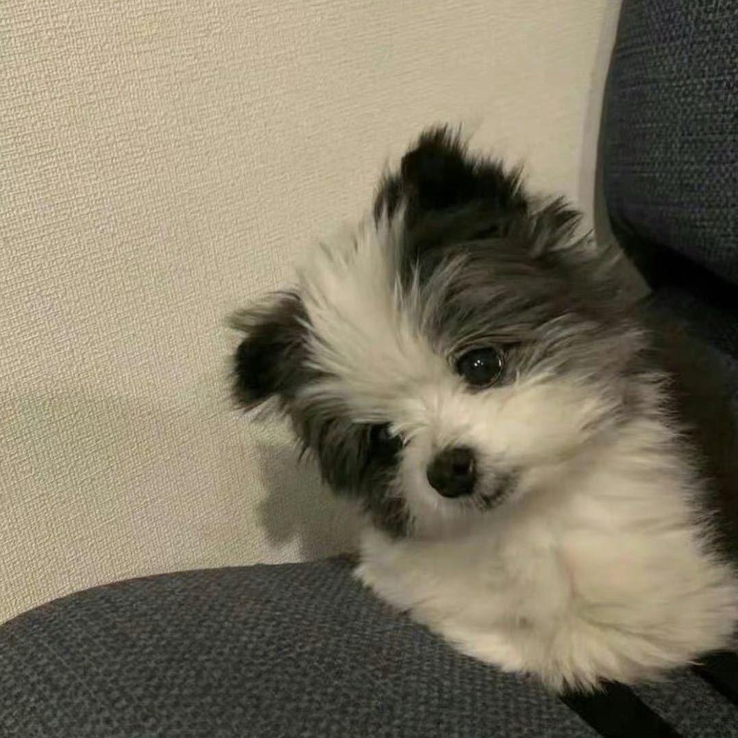 韩Yu