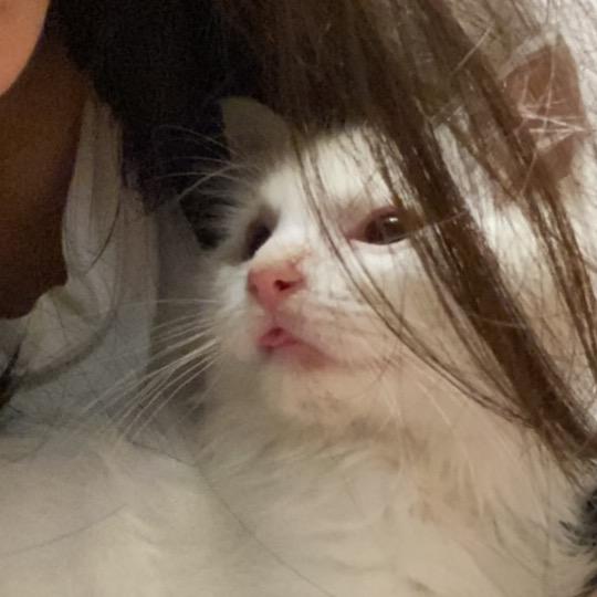 筱䍩