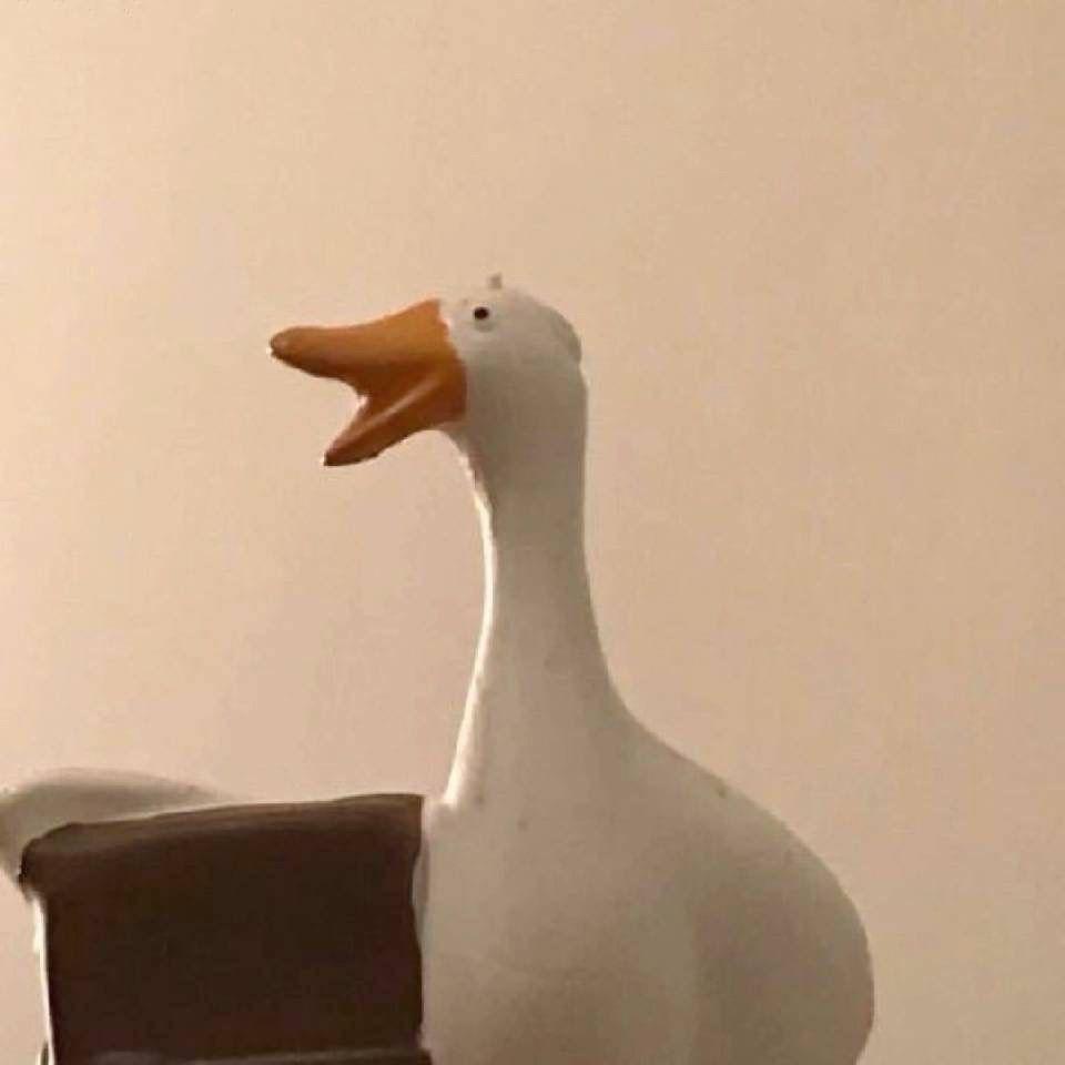 昵称被认证用户使用