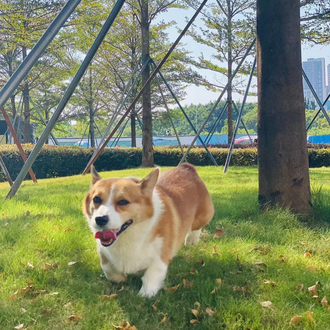 阿杰
