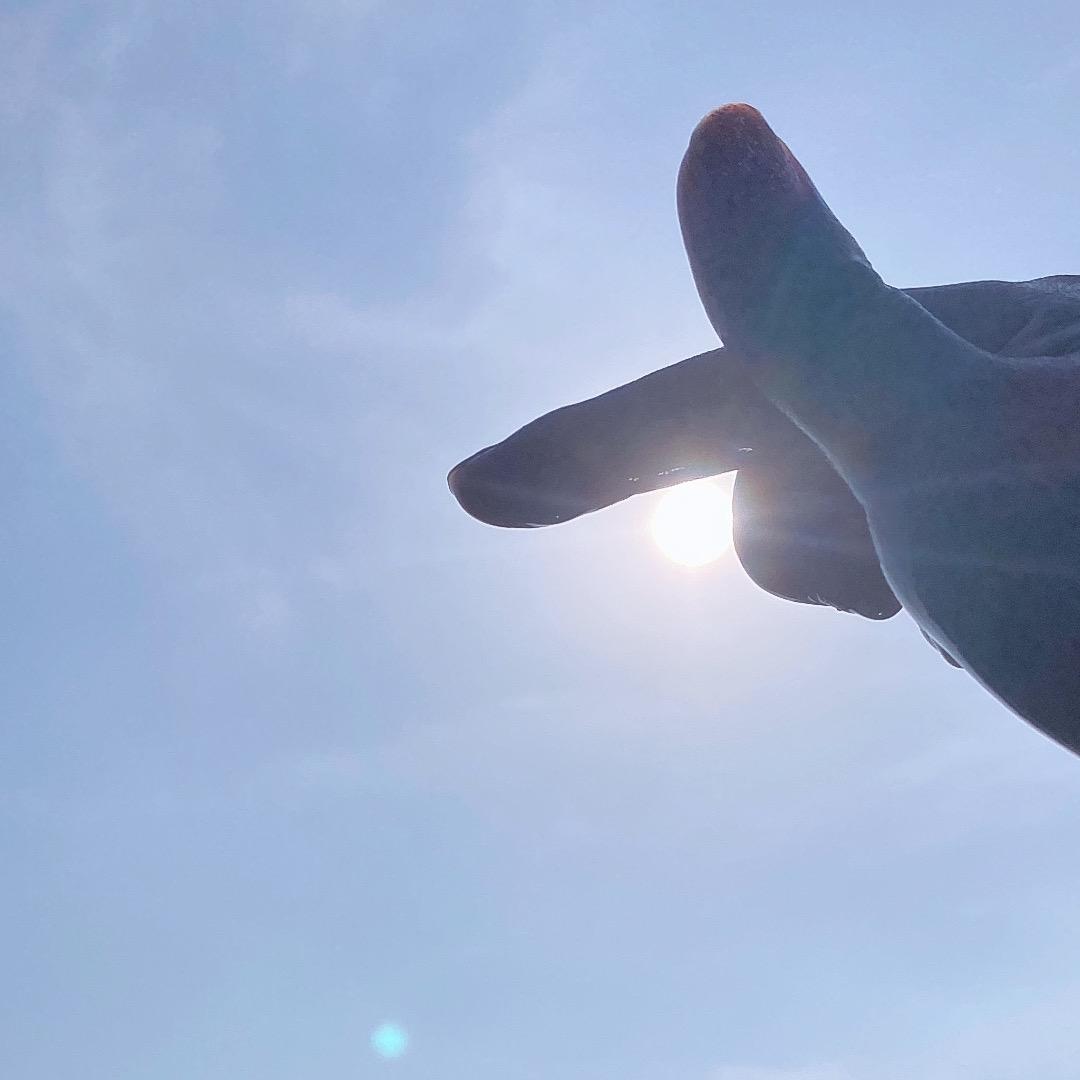 心若向阳，无谓悲伤。