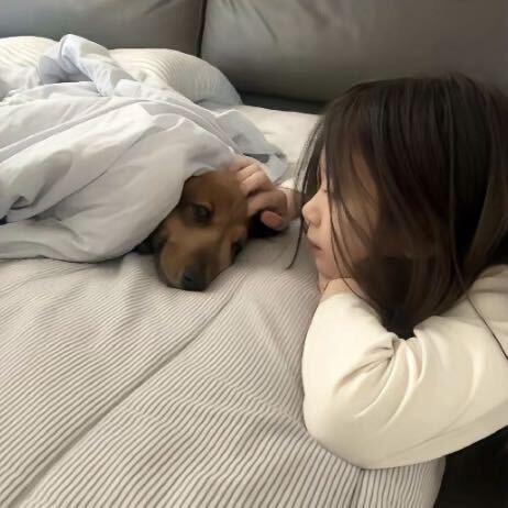 @睡个懒觉～