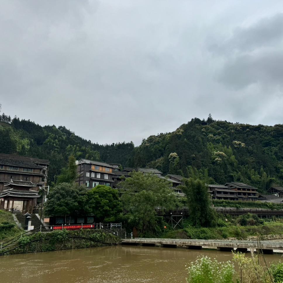 知了不飞