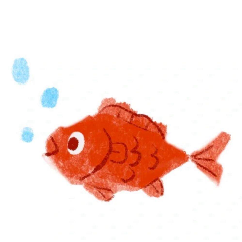 七秒家居鱼缸（大荔店）