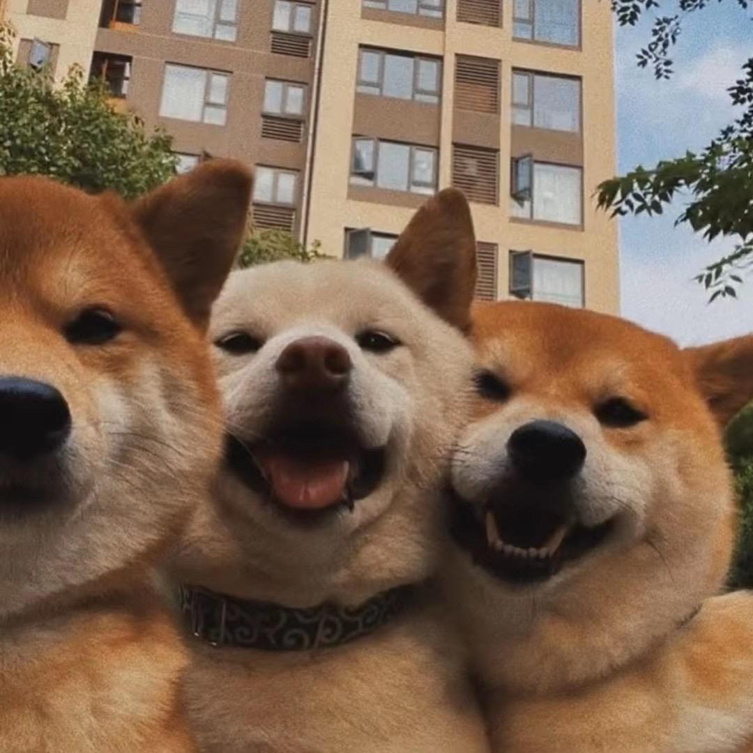 快点乐