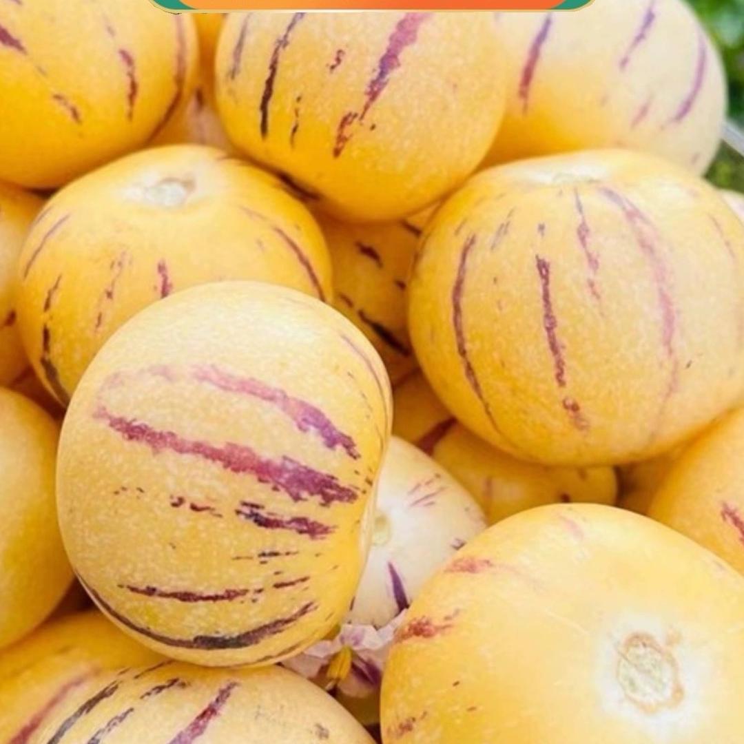 云南石林人参果产地