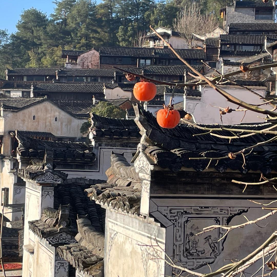 太阳雨🌦️