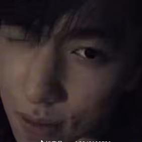 真正的瓢虫¹¹