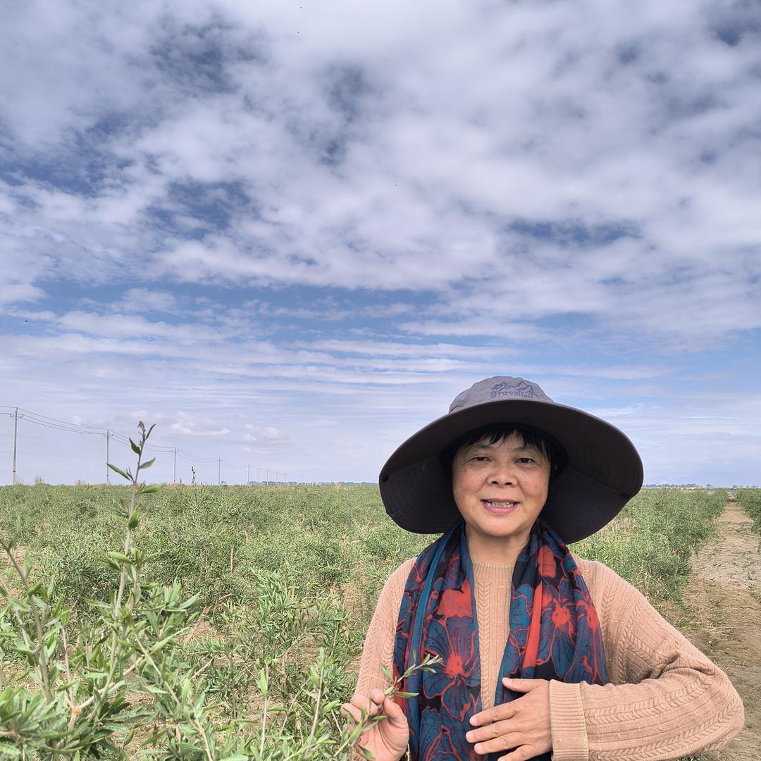 云诗朵的高原小浆果