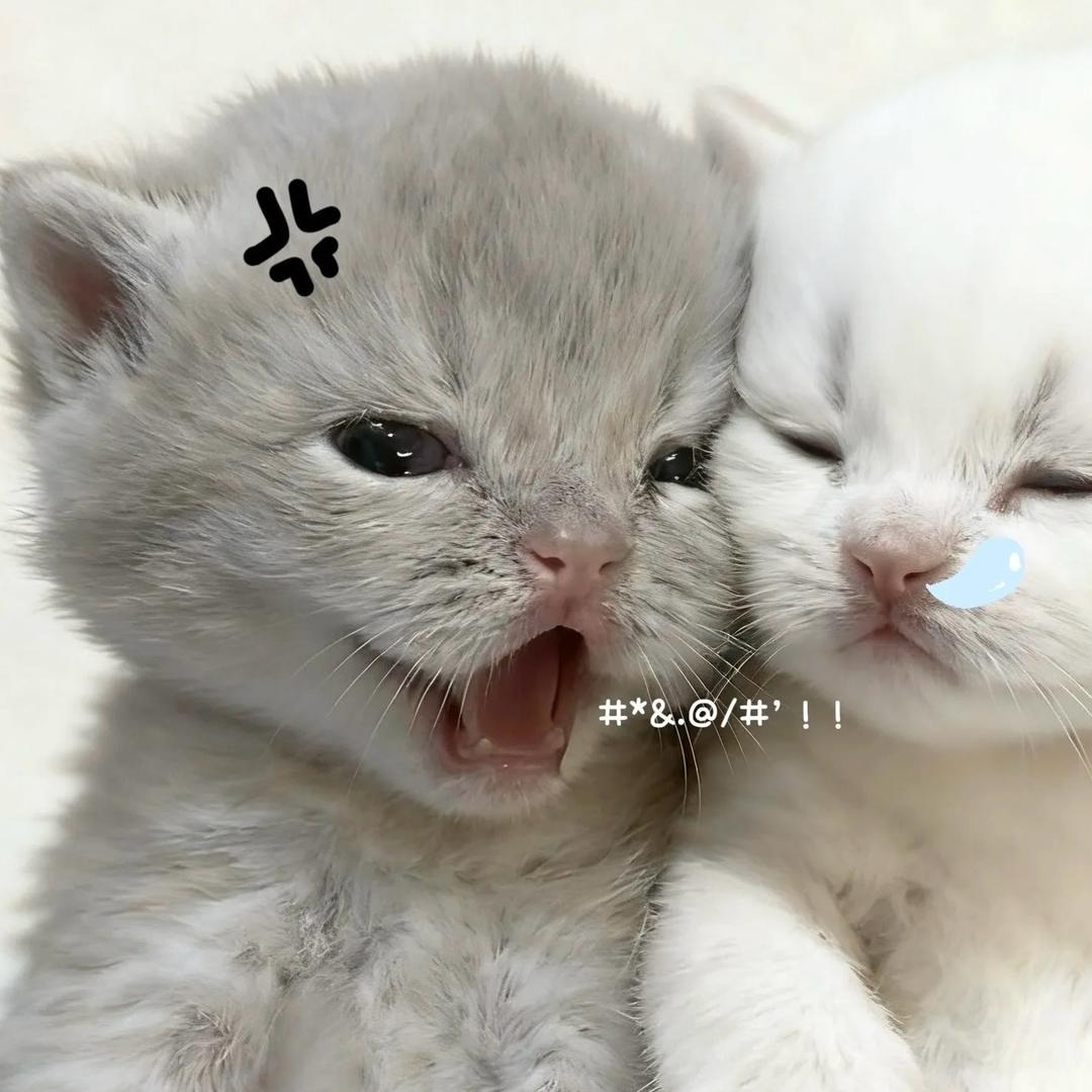 小宇