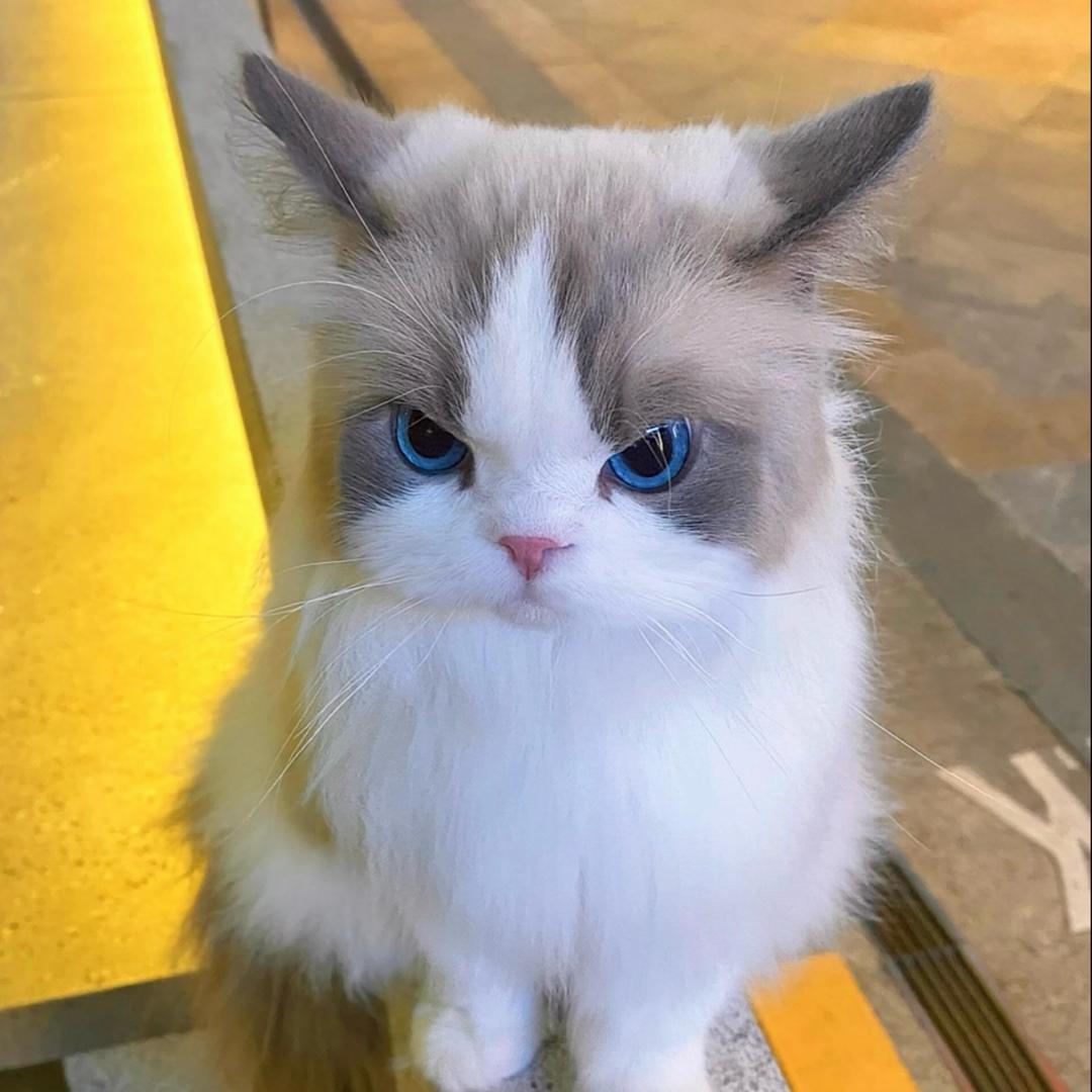 亿玖✨