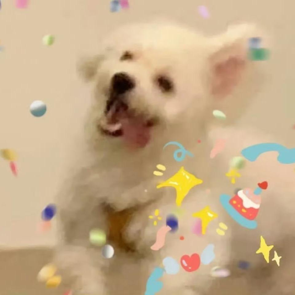 在下狗狗雨