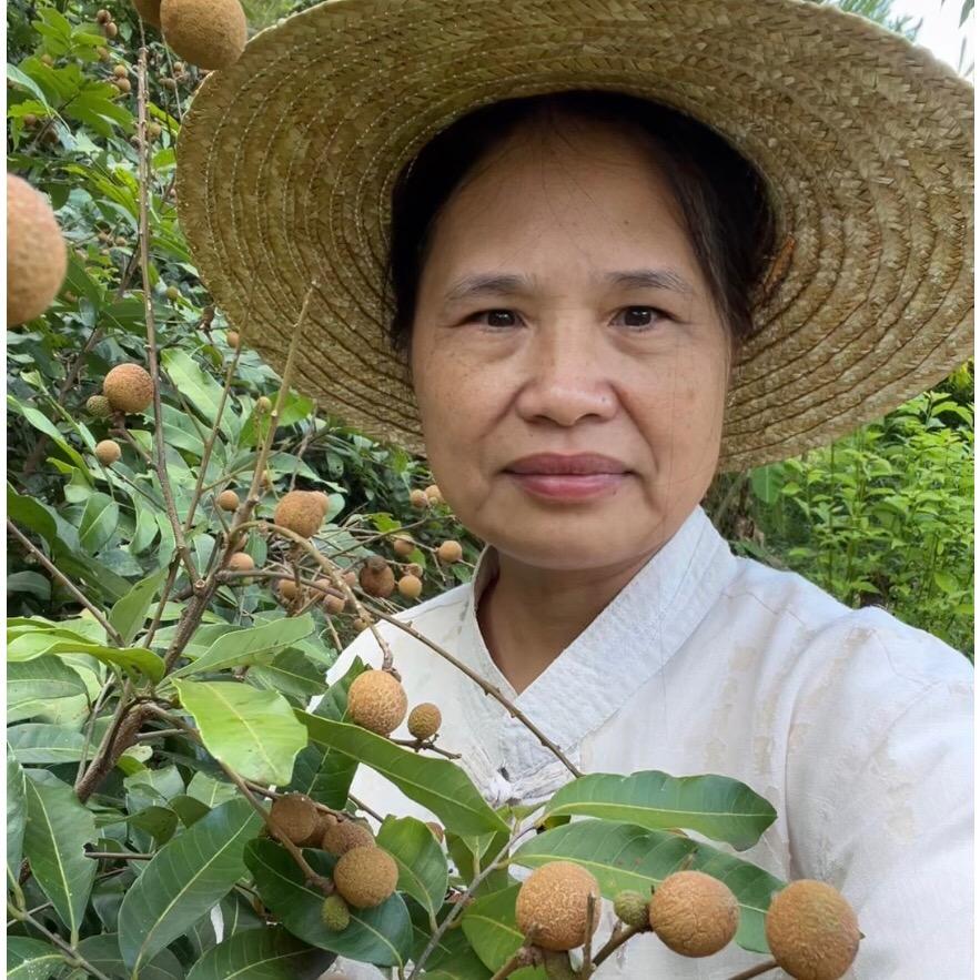 平姐讲百草