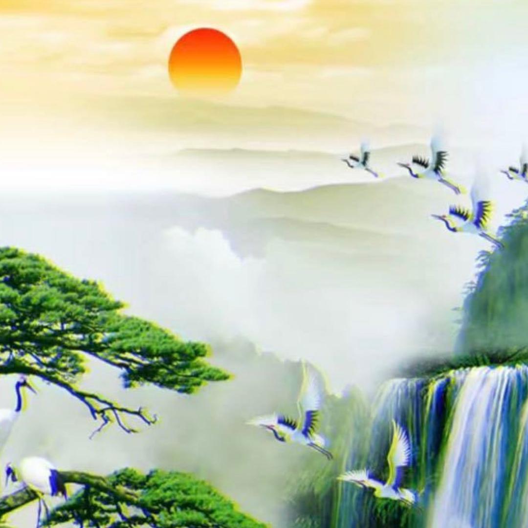 林海衣哥